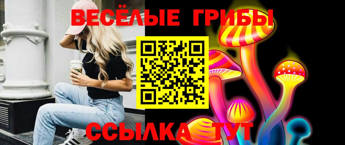 Псилоцибиновые грибы Psilocybe  Вход с VPN  Майский 